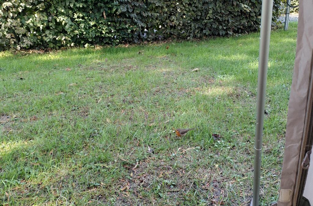 Geschützt: Besuch